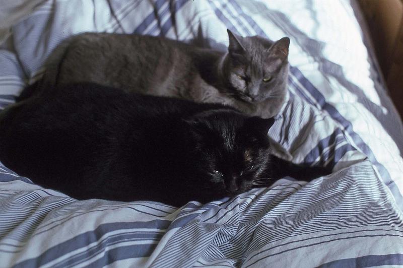 1995-04 Jess and Annabelle.jpg